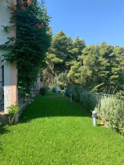Appartement Amfiteatrico Sea View - Kalamos Attiki à Markopoulon Oropou Extérieur photo